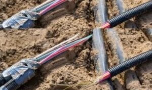 IMG-20251107-WA0007 Maling